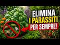 Come Eliminare i Parassiti in Giardino per Sempre: 7 Piante Segrete (Zero Chimica!)