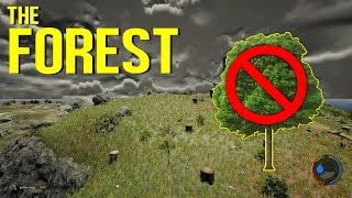 The Forest but I Cut Down Every Tree