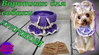 Воротник для собаки. Вязание крючком | Crochet dog dress collar