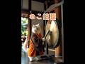 【#ねこ住職 第89話 世の中がどう見えるかで自分のことがわかっちゃうんだなぁ〰️！な？！】