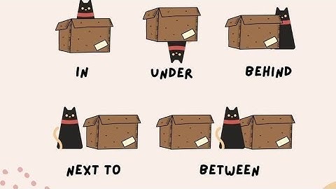 Propositions in Arabic | الظروف في اللغة العربية 🪻✨