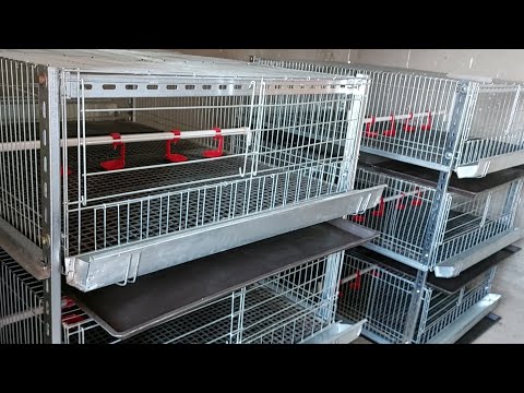 افضل تصميم بطارية الفراخ البيضا طريقة تصنيع بطاريات دجاج تسمين الحضان أرخص سعر بطاريات للفراخ البيضه