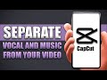 How To Separate Vocal And Music From The Video On Capcut