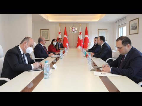 თურქეთის რესპუბლიკის დიდი ეროვნული ასამბლეის თავმჯდომარესთან შეხვედრა