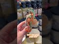 Bath & Body Works Seahorse Wallflowers Plug for Spring #bathandbodyworks #seahorse #spring #beach
