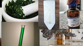 extraction of chlorophyll by using acetone and separation of chlorophyll by paper chromatography
