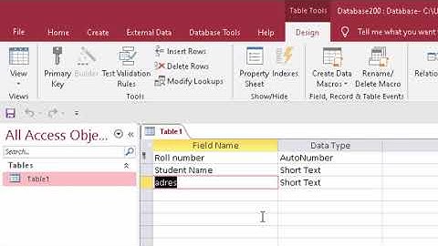 Caption in Microsoft Access in hindi and english