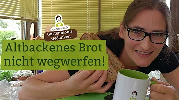 Kann man Pferden Brot geben?