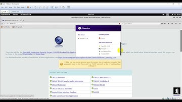 Scan web technology using whatweb and wappalyzer