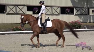 Famous D #133 Katherine Combs T1 Profile