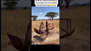 collection of funny animal videos😂😂 #comedyshorts #funny #animals