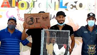premiaciones expo nacional de pollos Atotonilco el alto Jalisco