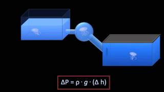 Hydrostatic Pressure Fluid Mechanics   Lesson 3