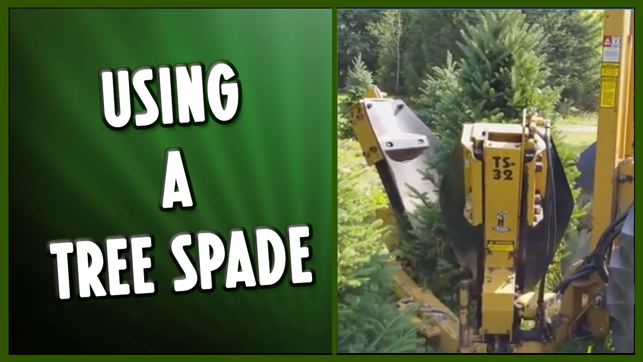 Using a Tree Spade - YouTube