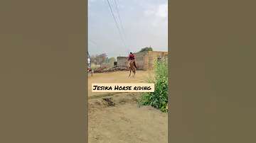 Learn Galloping Horse Riding Training By A Beautiful Indian Village Girl Horseriding Shorts 