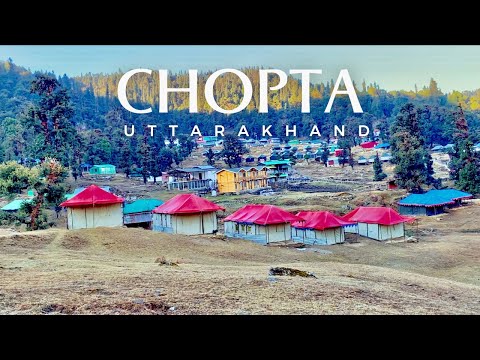 Chopta - Mini Switzerland of Uttarakhand | Chopta Travel Guide | Chopta Campsite | Devprayag Sangam
