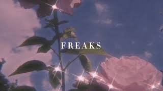 Surf Curse - Freaks [Slowed + pitched + muffled] Resimi