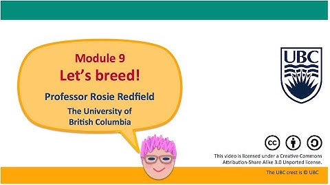 9K - Between-species hybrids