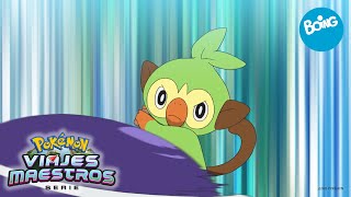 Viajes Maestros Pokémon | ¡Grookey se une al equipo! | Boing