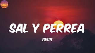 Download Lagu Sal y Perrea - Sech (Letra/Lyrics) MP3