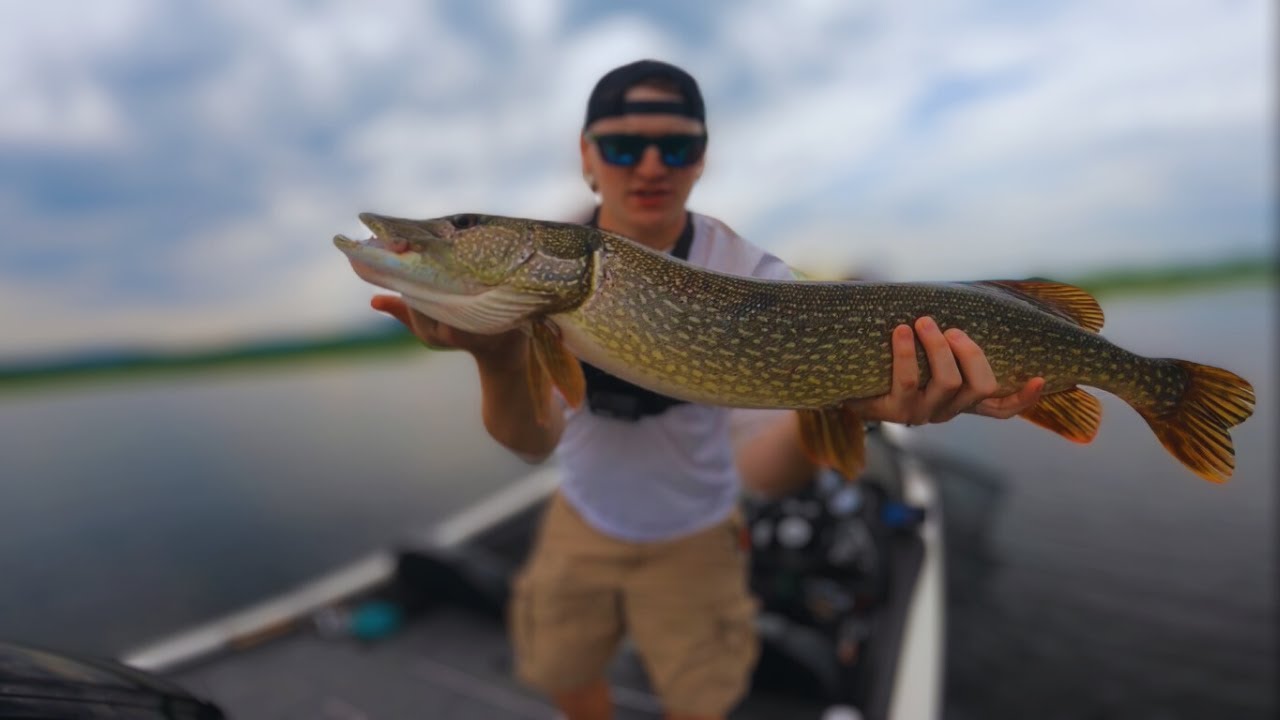 Mississippi River Backwater Fishing (MN)