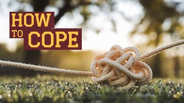 Coping Strategies: Insights from 