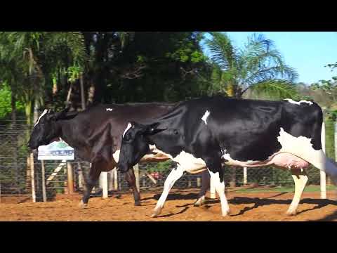LOTE 56 1308 CK 5864 CM