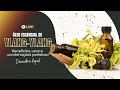 🔴 Óleo Essencial de Ylang-Ylang: Benefícios, Usos e Combinações Perfeitas!