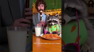 POV: You lied about not being hungry 🍝🤣 #shorts #raccoon