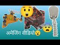 How to all animal survive 😮 #ytshorts #youtube #animals #trending #viral #dalimsharma #facts #shorts