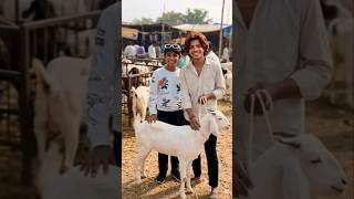 “Bakra market irfan aur imran#youtube #shots #facts #like #subscribe please 🥺