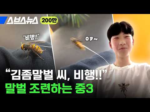 K-중학생은 말벌도 조련해~ 기특한 10년생 <strong>파브르</strong> 단독 인터뷰★ / 스브스뉴스