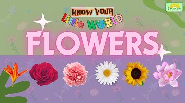 Learn about FLOWERS | Know Your Little World | Educational Video for Kids | Beginnings | Flower Time