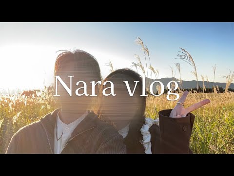 【vlog】奈良の魅力にどハマりしたカップルの1泊2日旅行🦌 | 曽爾高原 | 奈良公園