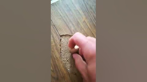 Best way to open a Pecan nut!!!