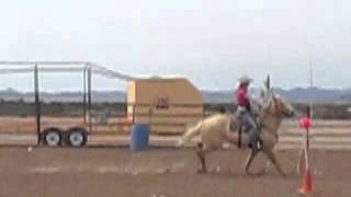 Shotgun the Mounted Shooting Horse In training