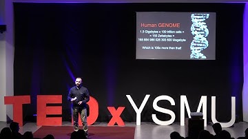 Illusion of Visual Learning | Dr. Mikayel Minasyants | TEDxYSMU