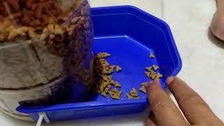 DIY Bekas makanan kucing