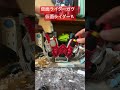 ファングガヴメモリ作成中!!#仮面ライダー #おすすめ #仮面ライダーダブル #kamenrider #假面骑士 #仮面ライダーガヴ #仮面ライダーギーツ #bandai #バンダイ #csm