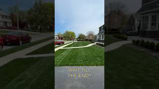 Award Winning Lawn Stripes