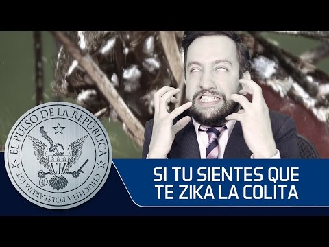 SI TU SIENTES QUE TE ZIKA LA COLITA - EL PULSO DE LA REPÚBLICA