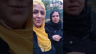 Arjinin Tepkisine Şfet