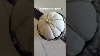 Crafting A Beautiful Pumpkin Sourdough Loaf