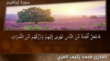 القارئ محمد زليف || اثر كرد || سورة إبراهيم
