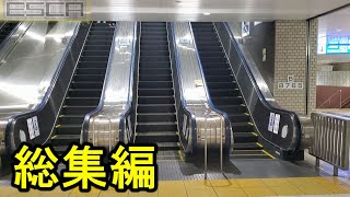 [Recap] Escalator Video Summary 2020