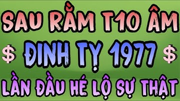 Lần Đầu Hé Lộ Sự Thật Gây Sốc: Đinh Tỵ 1977 Sau Rằm Tháng 10 ÂL Với 3 Cảnh Báo Đầy Biến Động