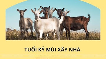 Người tuổi Kỷ Mùi 1979 xây nhà năm 2025 cần lưu ý điều gì?