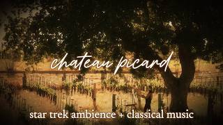 𝘤𝘩𝘢𝘵𝘦𝘢𝘶 𝘱𝘪𝘤𝘢𝘳𝘥 ~ soft classical music + star trek ambience | star trek: picard | sleep, studying screenshot 5