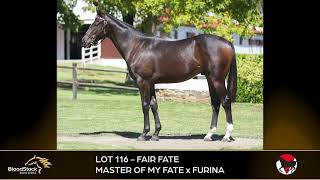 Lot 116 - Fair Fate - Master Of My Fate ex Furina
