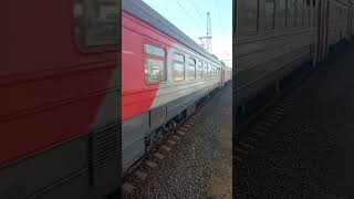 эд4м-360 на Новой лахте #споттинг #graffiti #birds #music #travel #явернулся #train #поезд #auto
